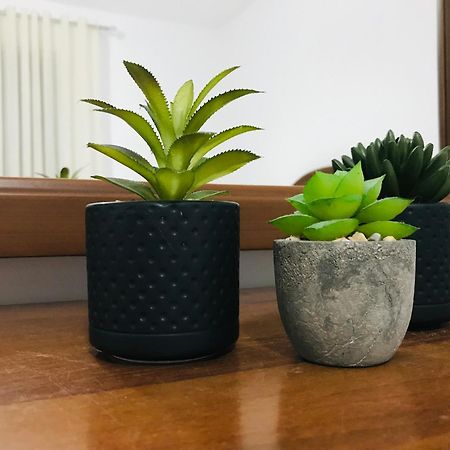 Koli Apartament Berat Ngoại thất bức ảnh